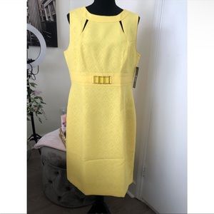 NWT Tahari dress 👗 with jewel belted detail